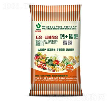 ���һ���������}+���