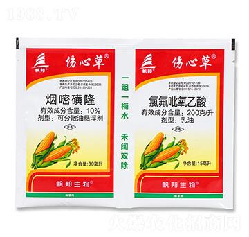 10%���׻�¡+200