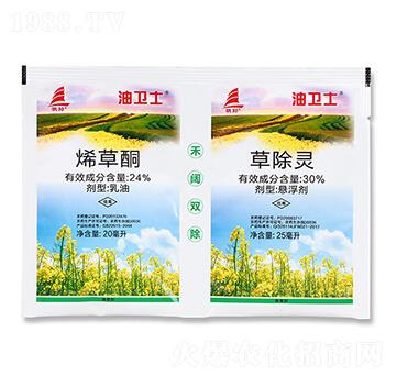 24%ϩ��ͪ+20%��