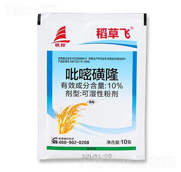 10%���׻�¡-�����w