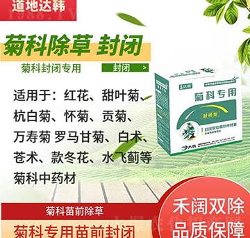 �տƳ��݄�-�տ���ǰ-