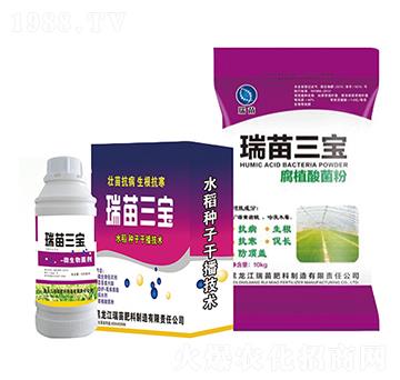 ��������-����