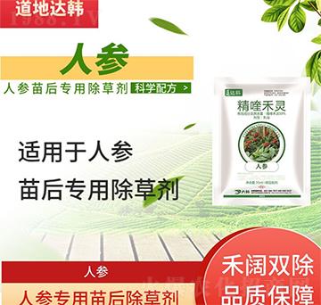 �˅����݄�-�˅����-�˅�����-���n