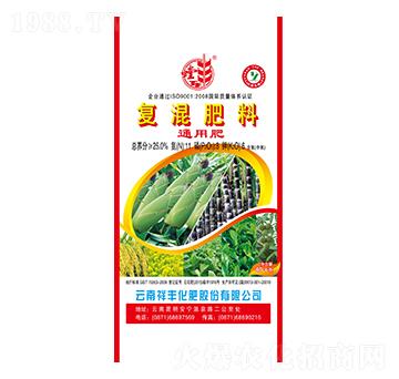 ������͏�(f��)�����11-8-6-���S