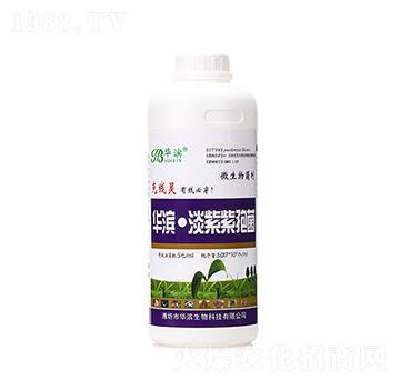 1000ml���ϔM��ù