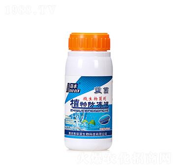 500mlֲ�����Һ-