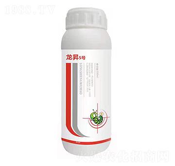 20%���x�� ����5̖ ��������