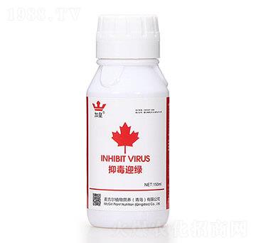 �ֶ�ӭ�G�����β������� �G�ʼt��