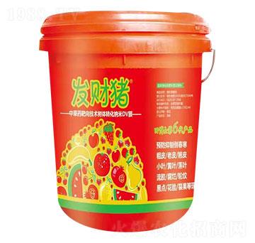 �в�ˎ�����g���w�D��DVĤ �l(f��)ؔ�i �ﲩʿ