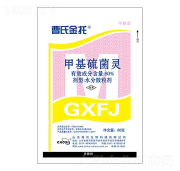 80%�׻�����` ����