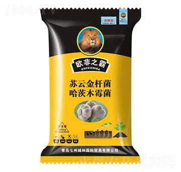 ������طN��-�W��֮��