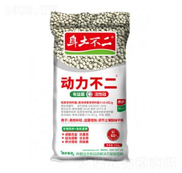 �������� �������� ��