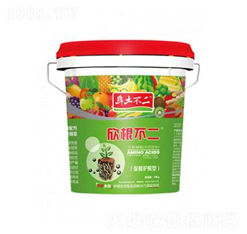 �������� �������� ��