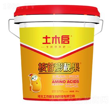 �������n�� ��ľ������