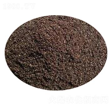 �o(w��)��������|(zh��)-�ݸ����B(t��i)