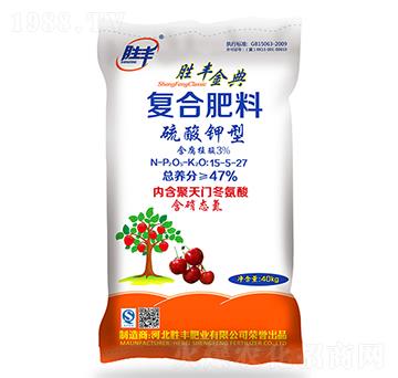 ������͏�(f��)�Ϸ���15-