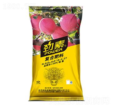 �O�����Ï�(f��)�Ϸ���18-