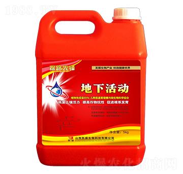 ���»��-̽·���h-�P