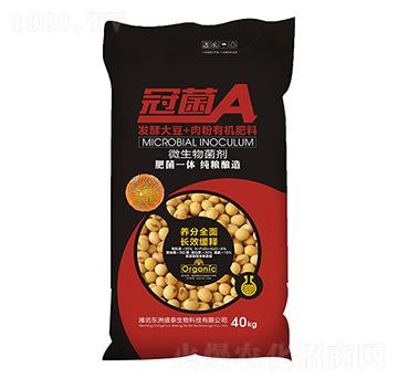 ΢�������-�ھ�-�|��ʢ̩