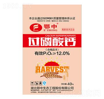 40kg�^(gu��)�����}-����