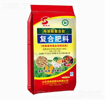 �����������ďͺϷ���16-13-16-ʥ��Դ