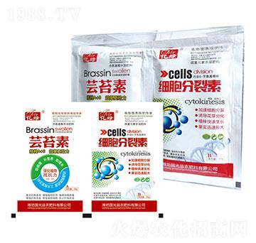 �|̦��+����������-�������r