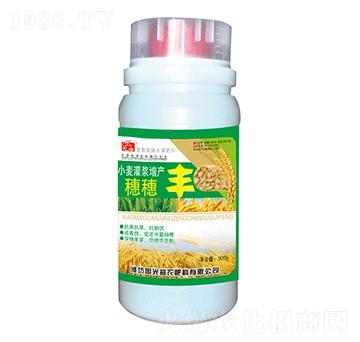 С�����{���a(ch��n)�����S-��(gu��)�����r(n��ng)