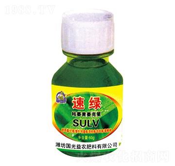 ��ή�Sή����-�پG-��(gu��)�����r(n��ng)