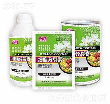 ���������ؽM��-�������r