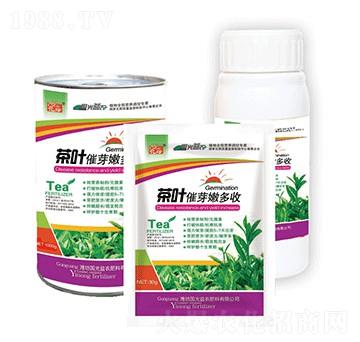 ���~��ѿ�۶��սM��-��(gu��)�����r(n��ng)