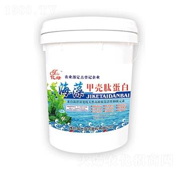 ����ך��ĵ���-�������r