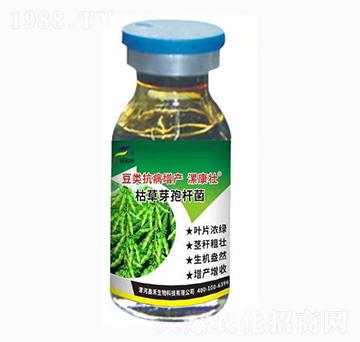 ��������a(ch��n)���ã��ݲ�