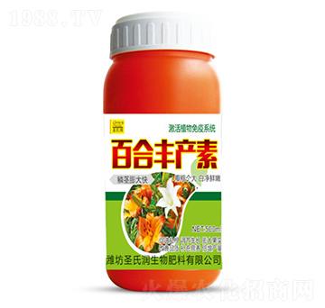 �ٺ��S�a(ch��n)��-ʥ�ϝ�(r��n)