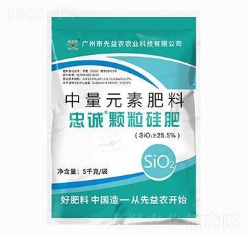 ����Ԫ�ط���-���\�w��