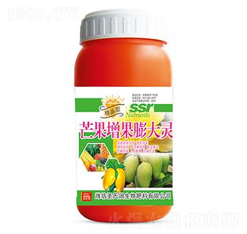 â����������`-ʥ�ϝ�(r��n)