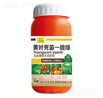 �S�~����һ���G-ʥ�ϝ�(r��n)