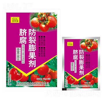 Ě�����������-ʥ�ϝ�(r��n)