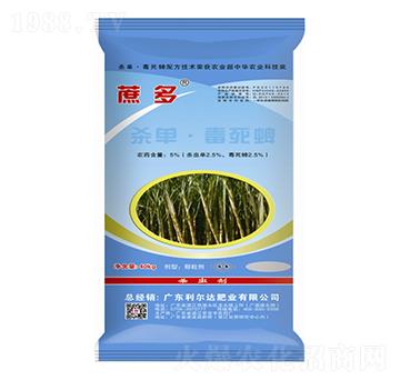 ���Ρ�������-���-�����_(d��)