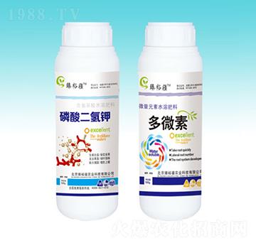 ��������+��΢��-��ԣ��