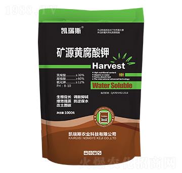 1000g�VԴ�S�����