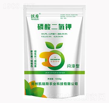 ��������-����-�P��