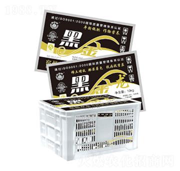 �ڽ��~���-�|���t