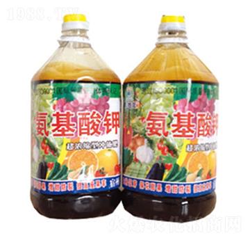 �������-�|���t