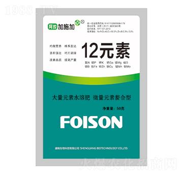 ʮ��Ԫ��-������ʩ��-ʢ�Z����