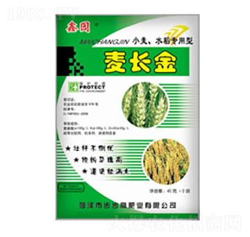 ���L��-�Έ@-�����߷�