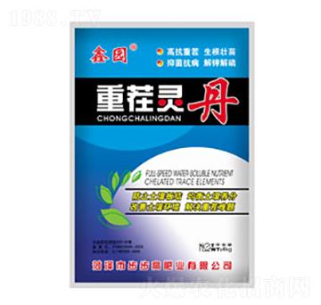 �ز��`��-�Έ@-������