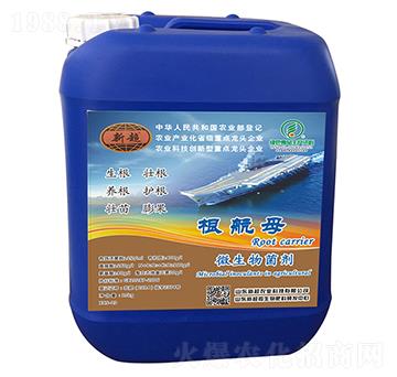 ΢�������-����ĸ-��