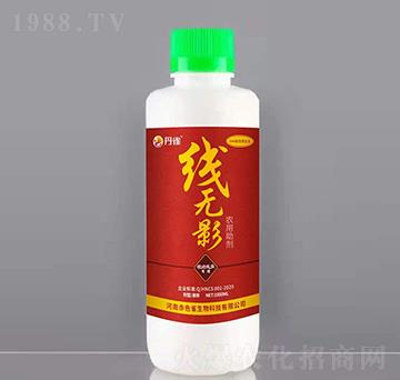 �r(n��ng)������-���o(w��)Ӱ-��ȸ