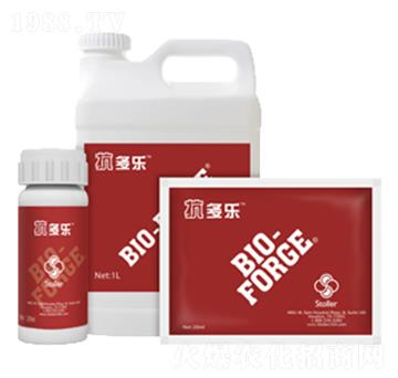 ������-������