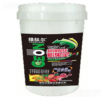 ��������`-�G�Ġ�-��